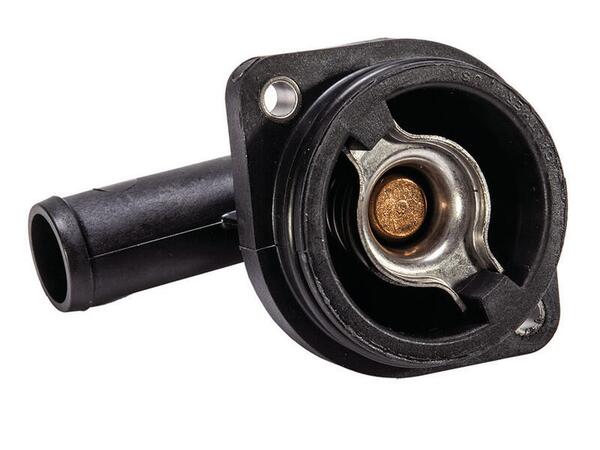 THERMOSTAT ASSY