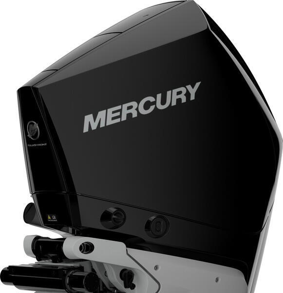 Mercury V 250 L AM DS