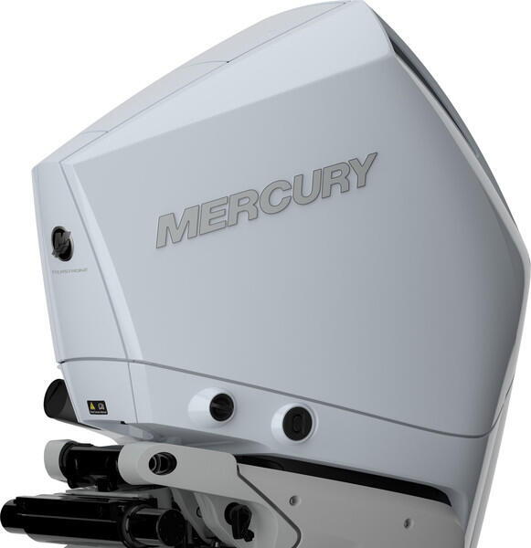Mercury V 250 L CF AM DS