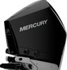 Mercury V 300 L AM DS