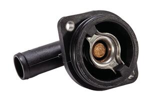 THERMOSTAT ASSY
